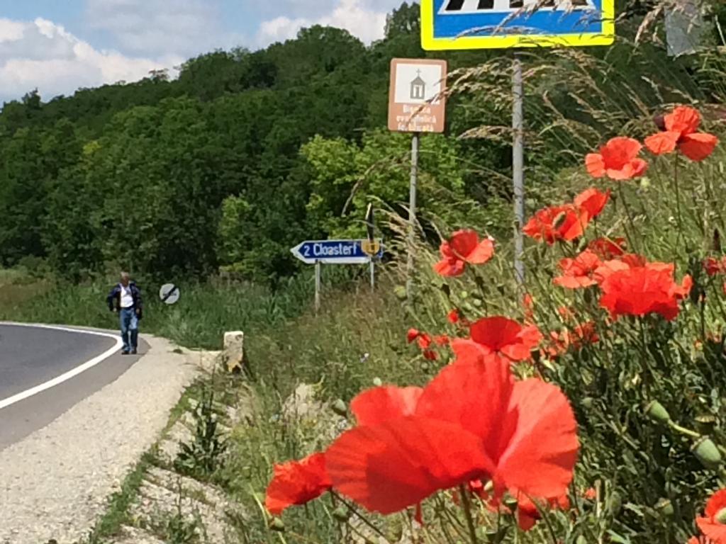 Pensjonat Dominic Boutique - Atelier Cloasterf Zewnętrze zdjęcie